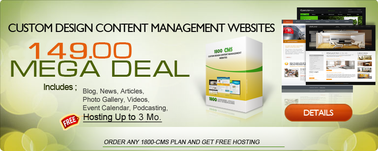 Website Design