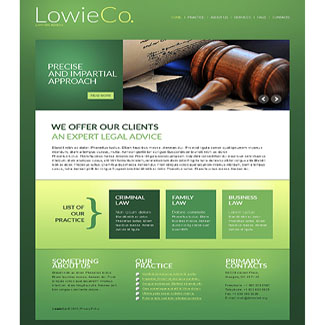Law Firm or Lawyer Website Design CMS|website design